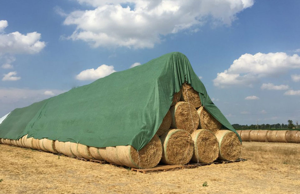 Επιλογές χορτονομής που ταιριάζουν γάντι σε ελληνικές εκμεταλλεύσεις εξετάζει το Profi Μαΐου